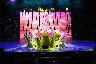 考察中国传统杂技艺术表演营地 考察中国传统杂技艺术表演营地