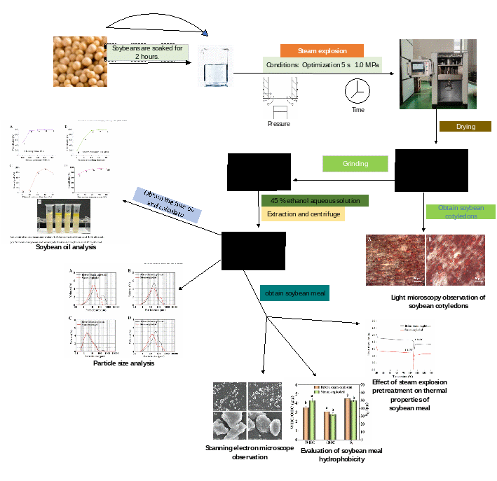 我院郭玉宝教授团队在中科院一区期刊《Innovative Food ...