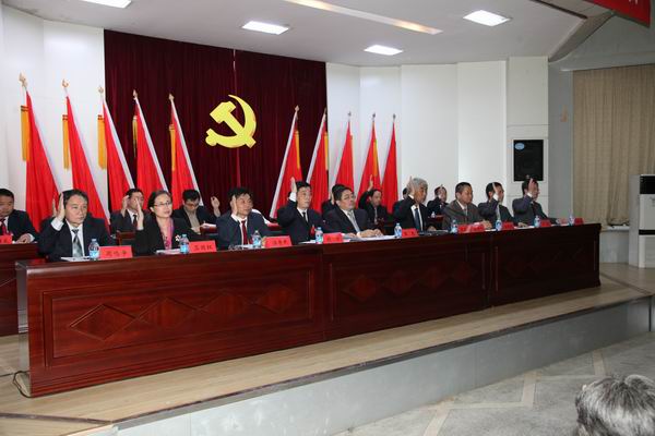 代表们举手表决现场1