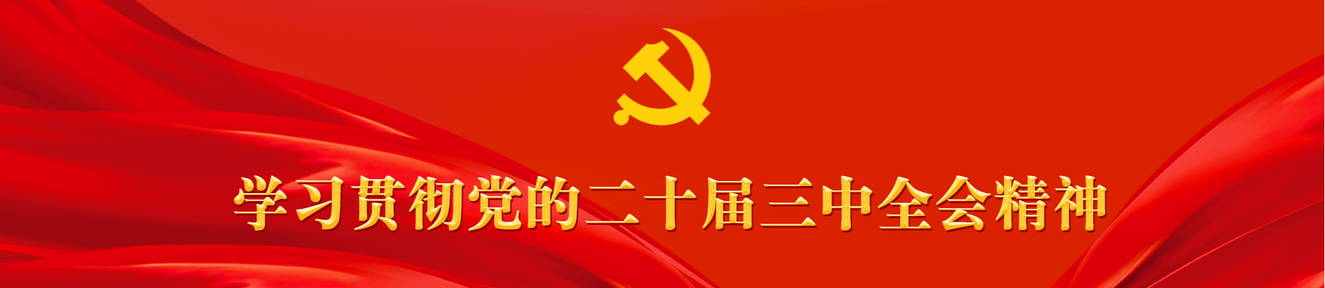 学习贯彻党的二十届三中全会精神